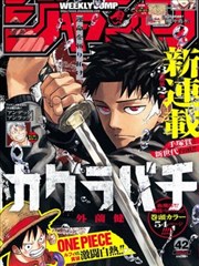 纸鸢与风漫画封面